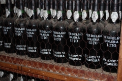madeira3
