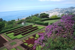 madeira5