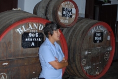 madeira7