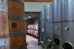 Michele_Satta_winery3